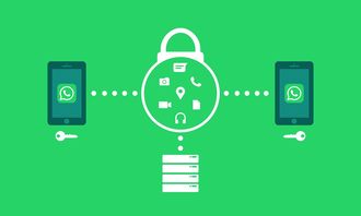 九游娱乐官网 (JIUYOU)-体育新闻采编流程中的内容安全机制构建，体育新闻报道要求