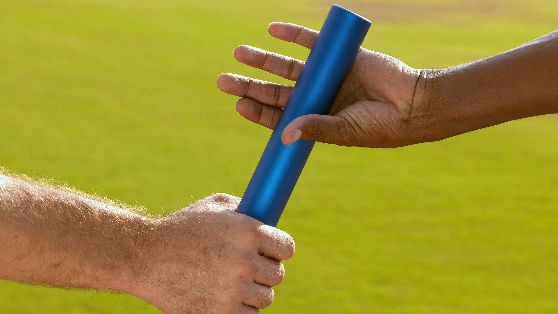 运动员职业发展路径探索，运动员职业发展路径探索图