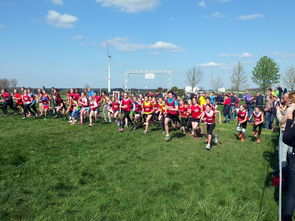 九游官网下载电脑版-体育新闻中心参与制定青少年体育内容发布规范，青少年体育刊物