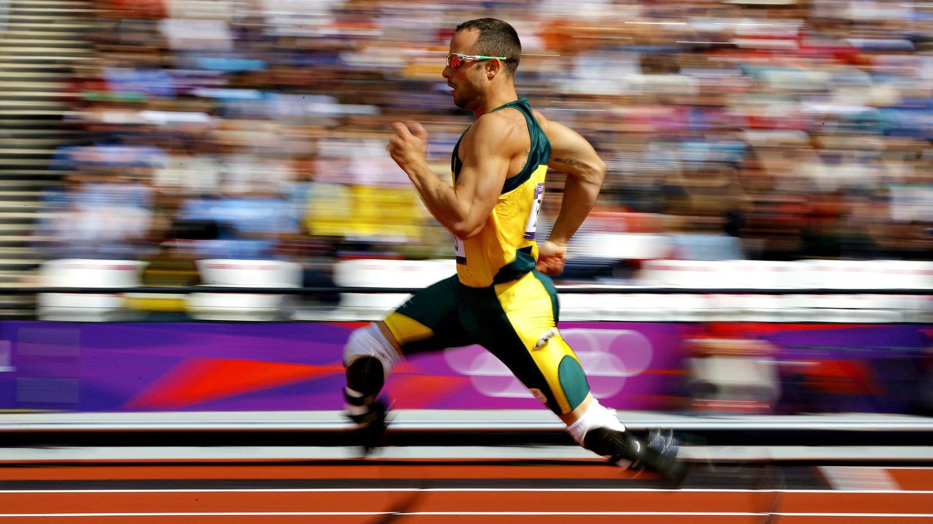 克罗地亚马术协会建立马匹基因数据库，促进马匹选育与训练。，克罗地亚 马可波罗